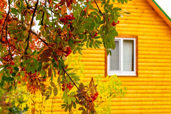 Cost of Garden Window Replacement in Dublin